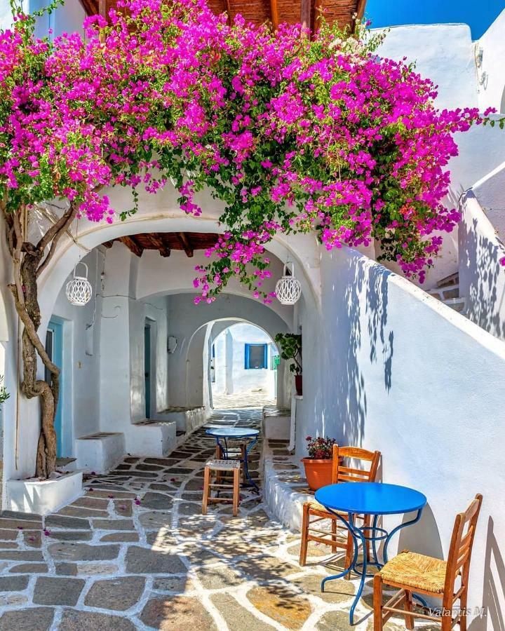Villa Kavalli Paros Dhragoulas Εξωτερικό φωτογραφία
